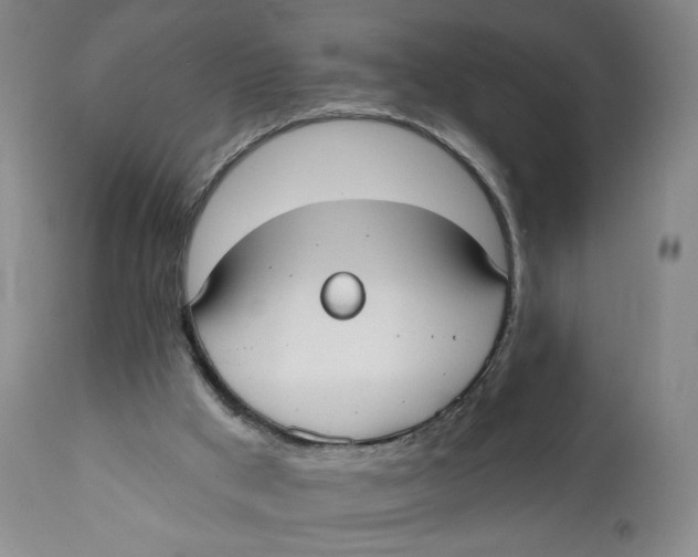 X0000110760009200907061106