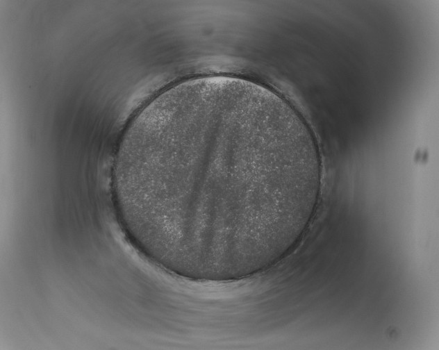 X0000110760010200907061106