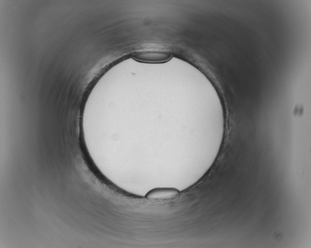 X0000110760011200907061106
