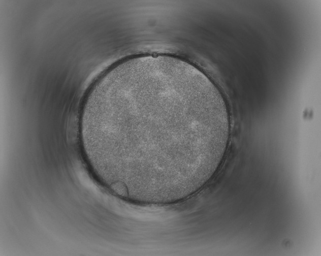 X0000110760012200907061106