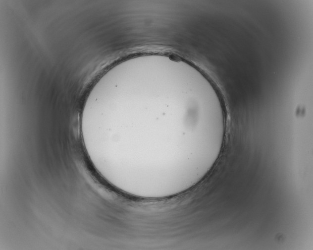 X0000110760013200907061106