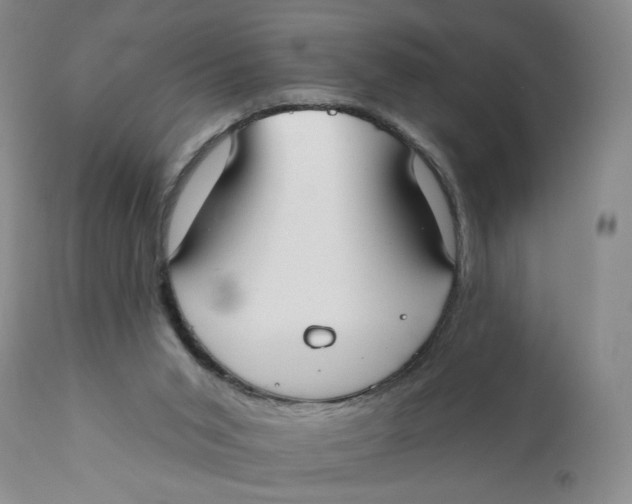 X0000110760015200907061106