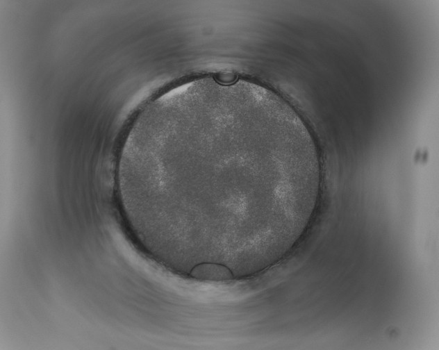 X0000110760016200907061106