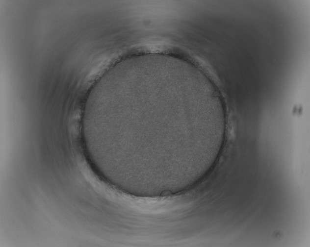 X0000110760018200907061106