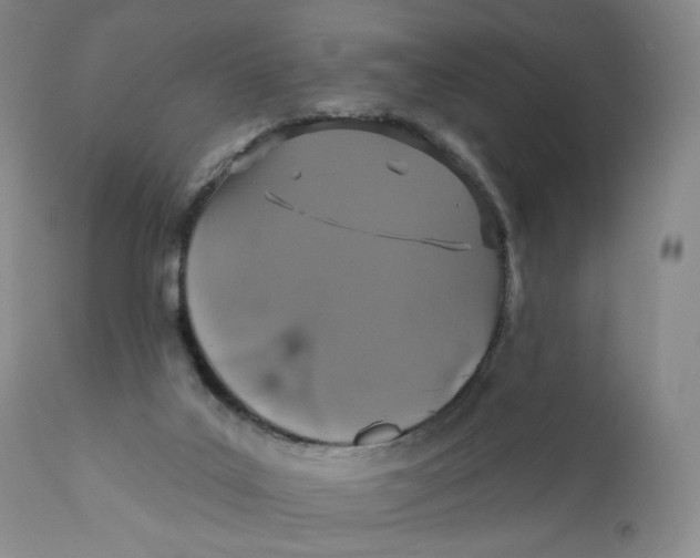 X0000110760019200907061106