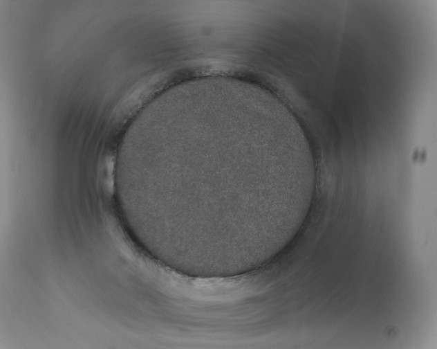 X0000110760022200907061106