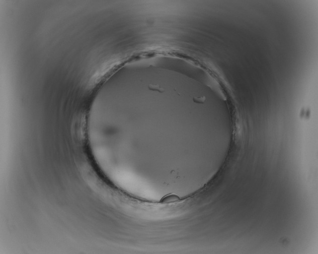 X0000110760023200907061106