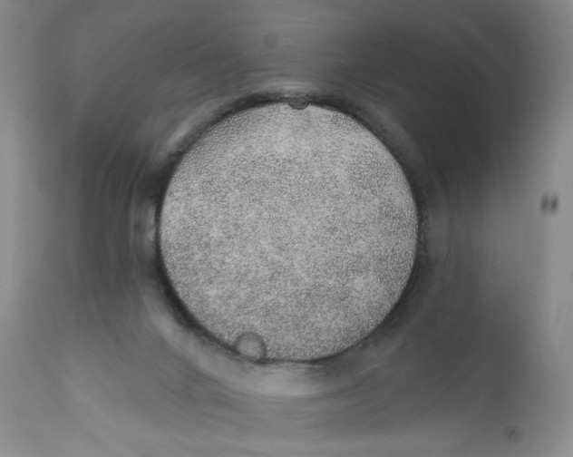 X0000110760024200907061106