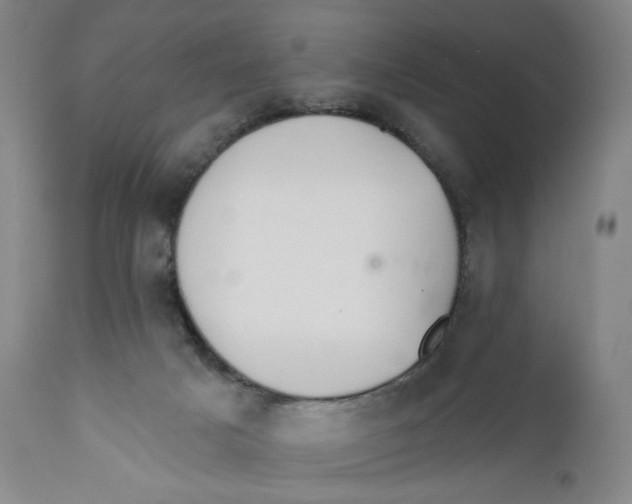 X0000110760025200907061106