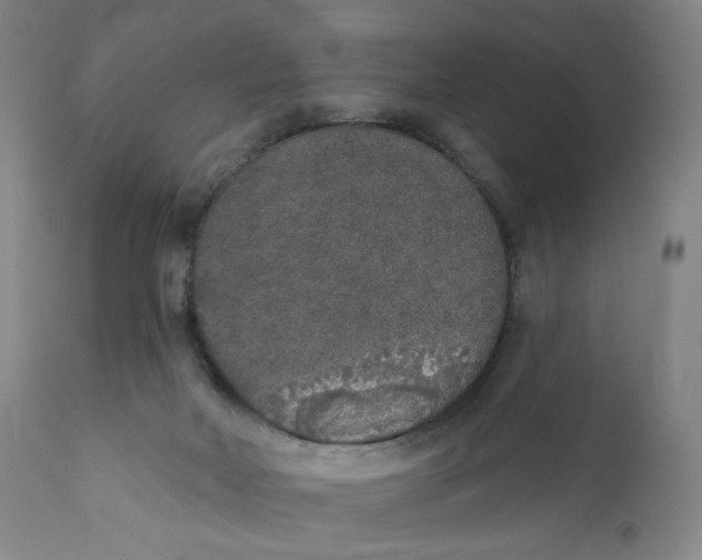 X0000110760026200907061106
