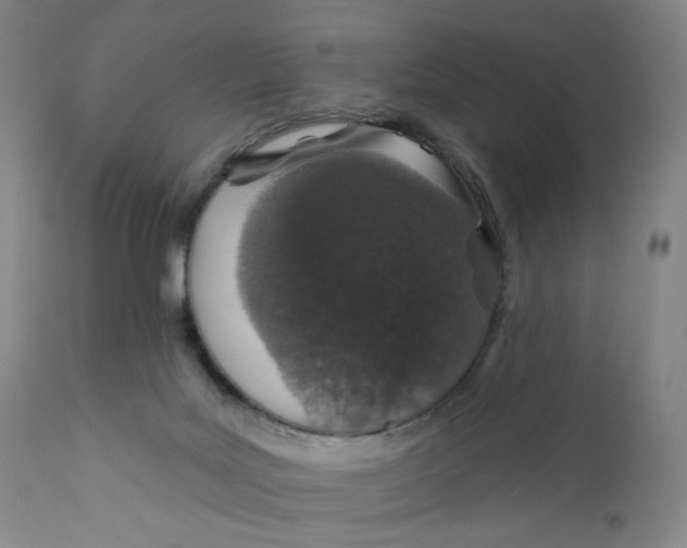 X0000110760027200907061106
