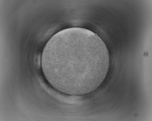 X0000110760028200907061106