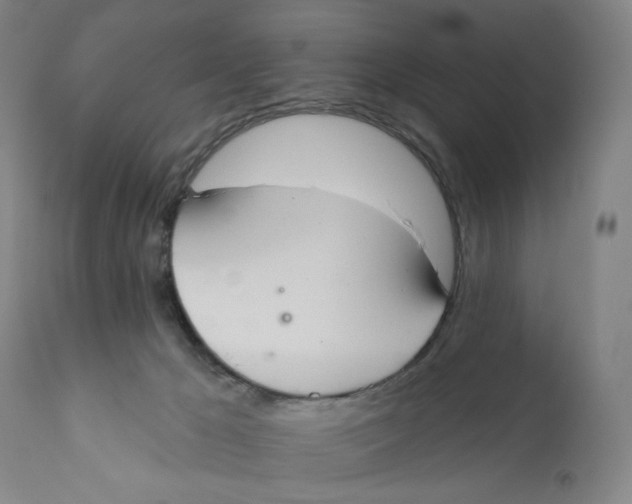 X0000110760029200907061106
