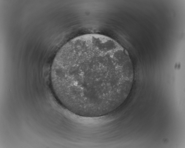X0000110760030200907061106