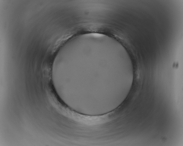 X0000110760031200907061106