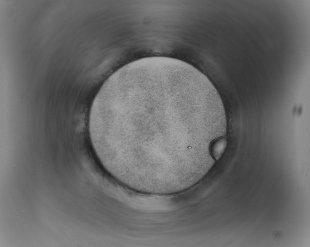 X0000110760032200907061106