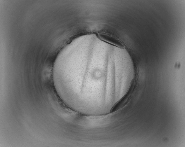 X0000110760033200907061106