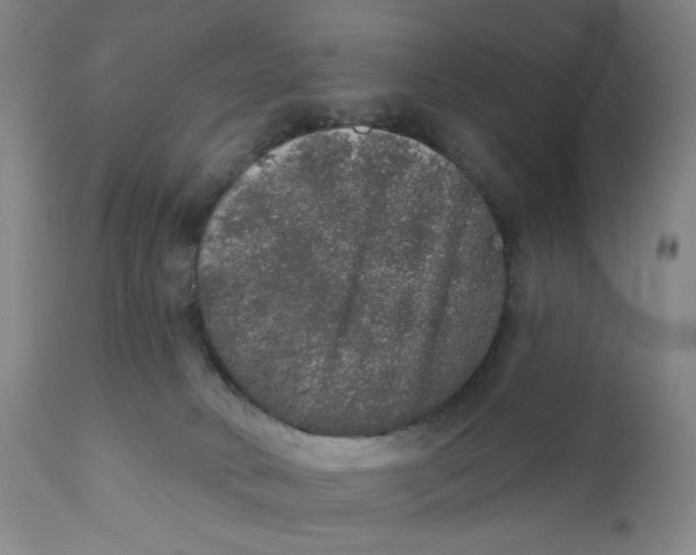 X0000110760034200907061106