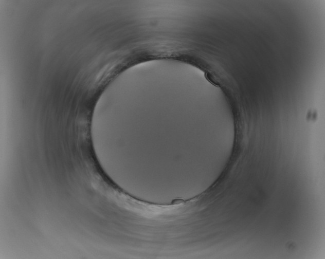 X0000110760035200907061106