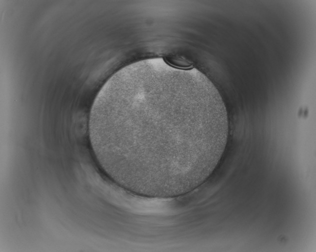 X0000110760036200907061106