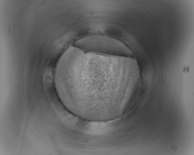 X0000110760037200907061106