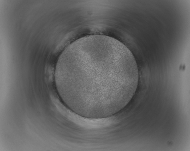 X0000110760038200907061105