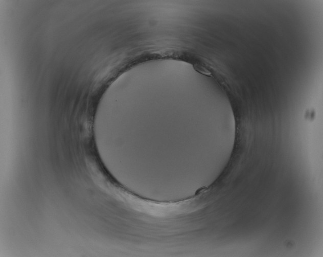 X0000110760039200907061105