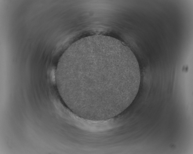 X0000110760042200907061105