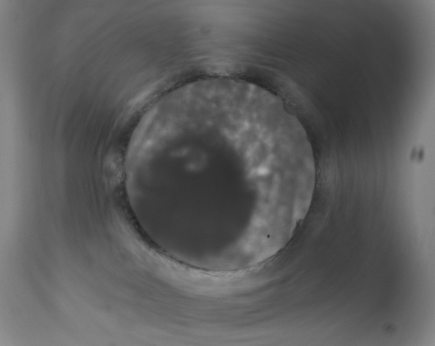 X0000110760043200907061105