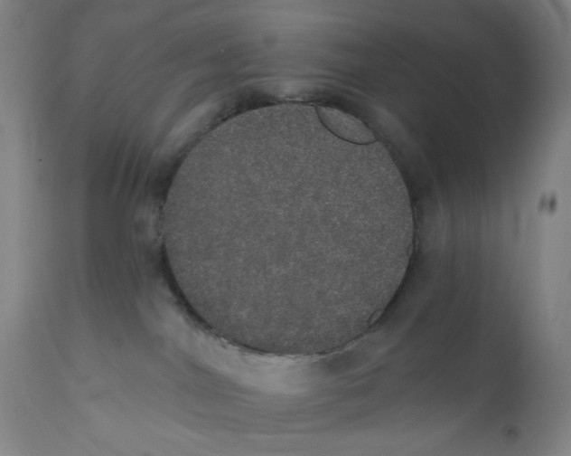 X0000110760044200907061105