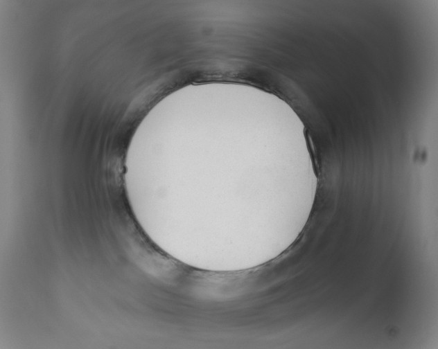 X0000110760045200907061105