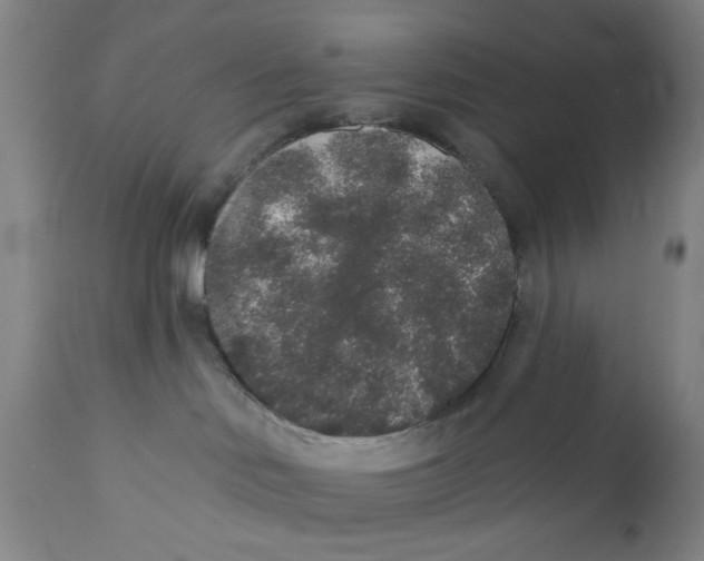 X0000110760046200907061105