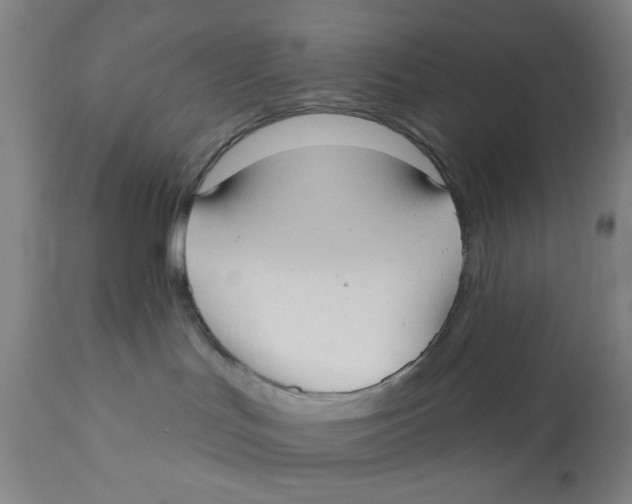 X0000110760047200907061105