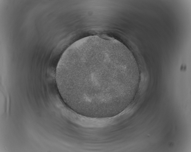 X0000110760048200907061105