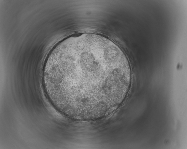 X0000110760049200907061105