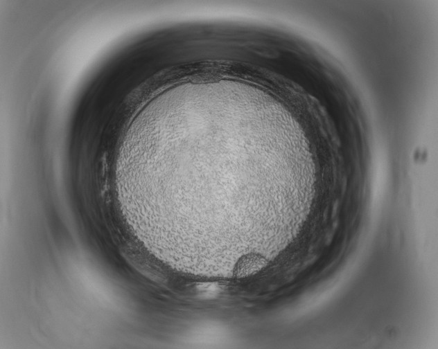 X0000110760050200907061105