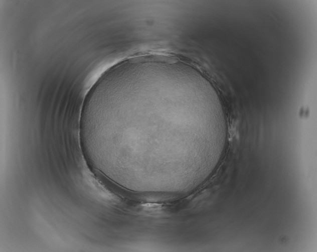 X0000110760052200907061105