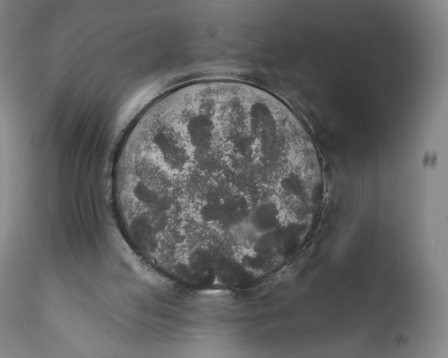 X0000110760053200907061105