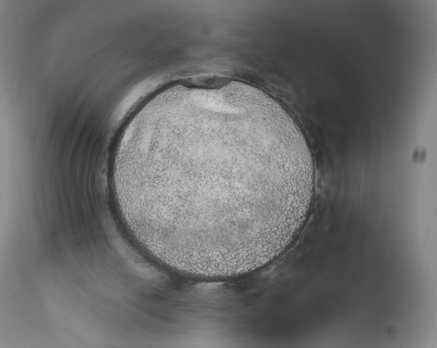X0000110760054200907061105