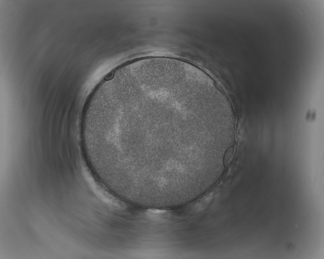 X0000110760055200907061105