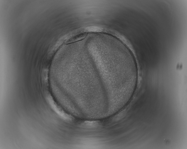X0000110760057200907061105