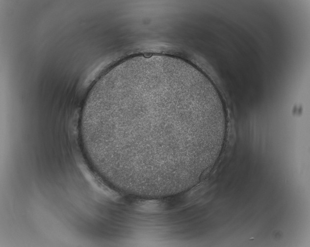 X0000110760058200907061105