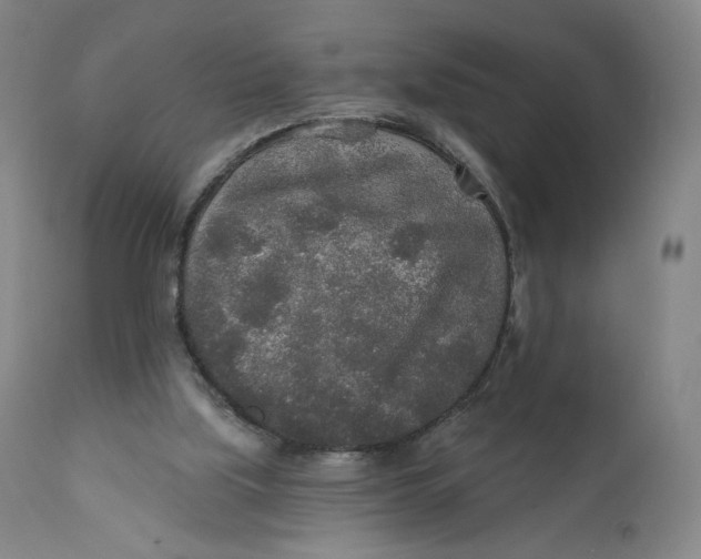 X0000110760059200907061105
