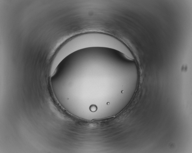 X0000110760060200907061105