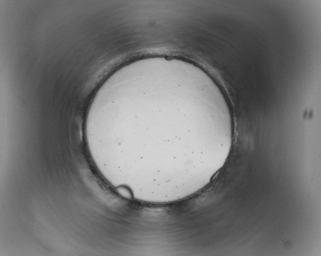 X0000110760061200907061105