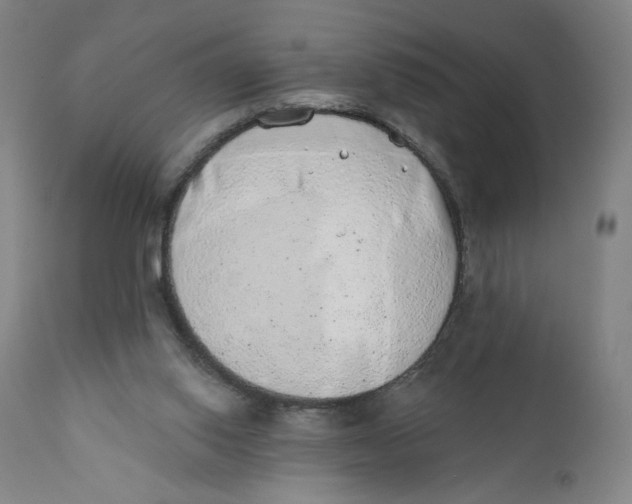 X0000110760062200907061105