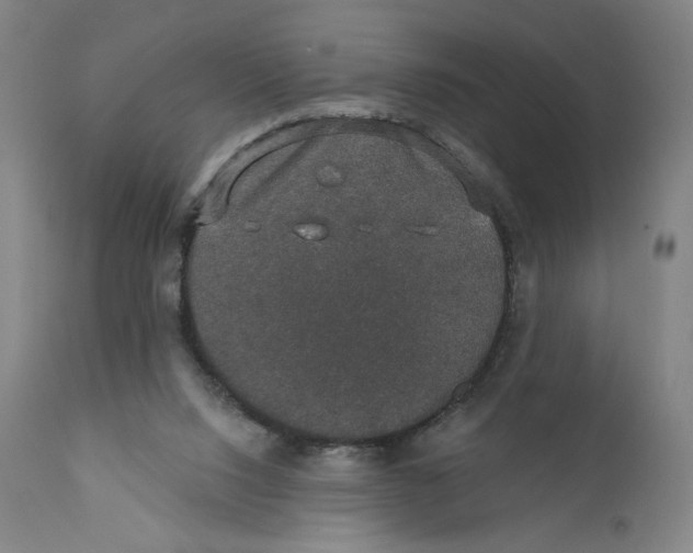 X0000110760064200907061105