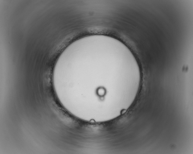 X0000110760065200907061105