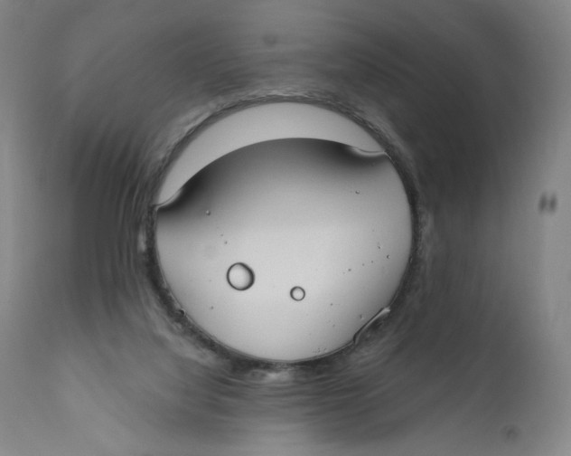 X0000110760068200907061105