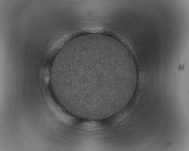 X0000110760069200907061105